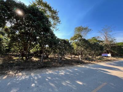 ขาย - ที่ดิน เชียงคาน วิวเขาภูทอก ถนนคนเดิน, เลย