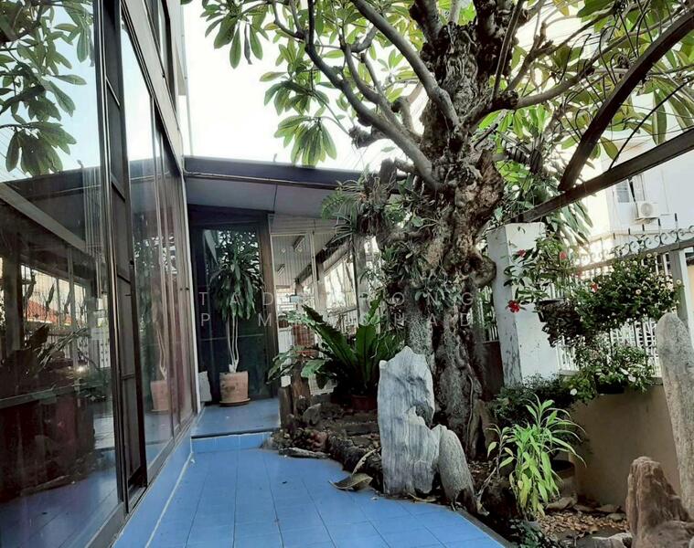 For Sale - ตึก4 ชั้น ถนนนิมมานท์ ซอย13 เชียงใหม่, Chiang Mai