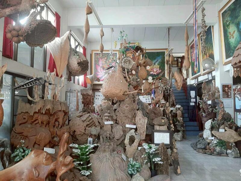 For Sale - ตึก4 ชั้น ถนนนิมมานท์ ซอย13 เชียงใหม่, Chiang Mai