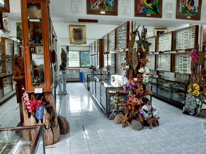 For Sale - ตึก4 ชั้น ถนนนิมมานท์ ซอย13 เชียงใหม่, Chiang Mai