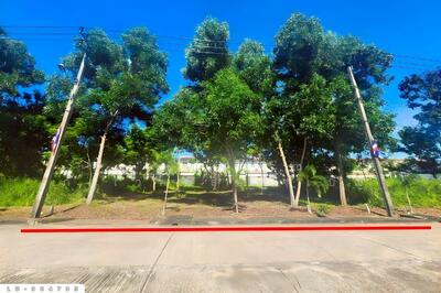 ขาย - LU-964795 ที่ดินบางชัน โครงการฟอเรสปาร์ค 176 ตร.ว. มีนบุรี ใกล้สำนักงานเขตคลองสามวา, กรุงเทพ