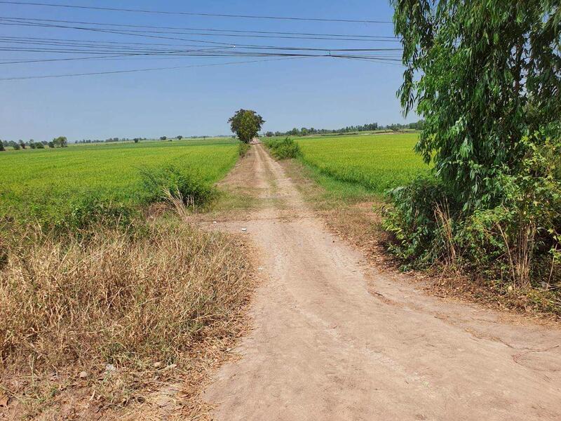 For Sale - ขายที่ดินที่ดินบางซ้าย อยุธยา 9 ไร่ 4.9x ลบ ติดถนน 2 ด้าน, Phra Nakhon Si Ayutthaya