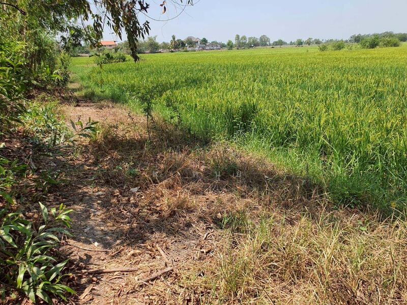 For Sale - ขายที่ดินที่ดินบางซ้าย อยุธยา 9 ไร่ 4.9x ลบ ติดถนน 2 ด้าน, Phra Nakhon Si Ayutthaya