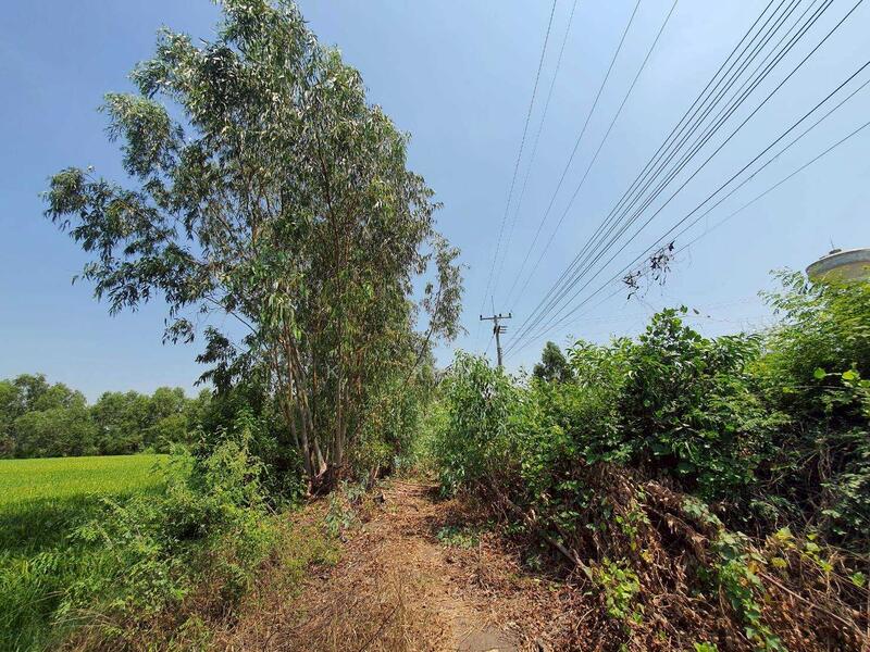 For Sale - ขายที่ดินที่ดินบางซ้าย อยุธยา 9 ไร่ 4.9x ลบ ติดถนน 2 ด้าน, Phra Nakhon Si Ayutthaya