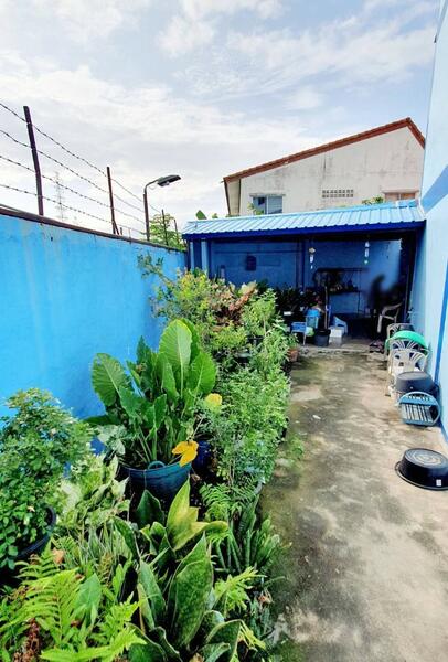 For Sale - อาคารพาณิชย์บ้านสวน ชลบุรี, Chon Buri (Pattaya)