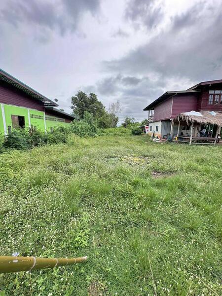 For Sale - ที่ดินบ้านดุง อุดรธานี, Udon Thani