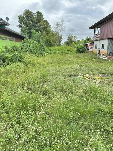 For Sale - ที่ดินบ้านดุง อุดรธานี, Udon Thani