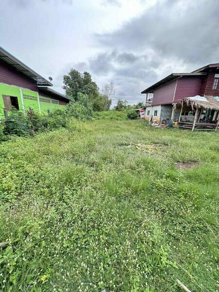 For Sale - ที่ดินบ้านดุง อุดรธานี, Udon Thani