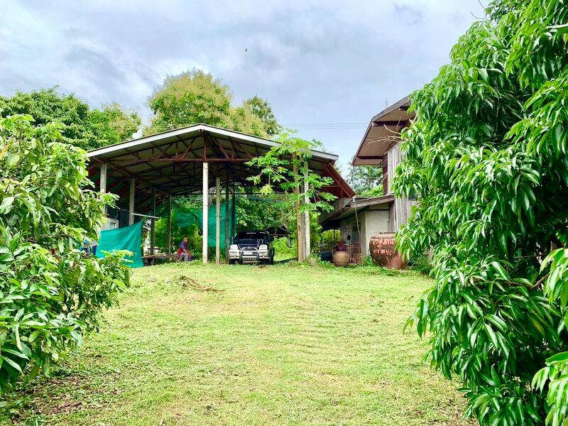 ขาย - ขายที่ดินพร้อมสิ่งปลูกสร้าง จ.มุกดาหารทิวเขา 360 องศา ล้อมรอบไปด้วยอากาศบริสุทธิ์ และใกล้แหล่งชุมชน, มุกดาหาร