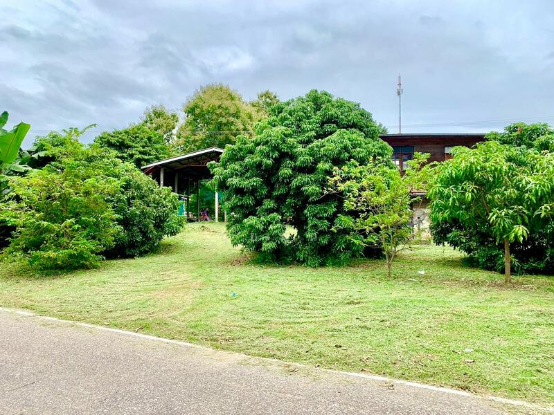 For Sale - ขายที่ดินพร้อมสิ่งปลูกสร้าง จ.มุกดาหารทิวเขา 360 องศา ล้อมรอบไปด้วยอากาศบริสุทธิ์ และใกล้แหล่งชุมชน, Mukdahan