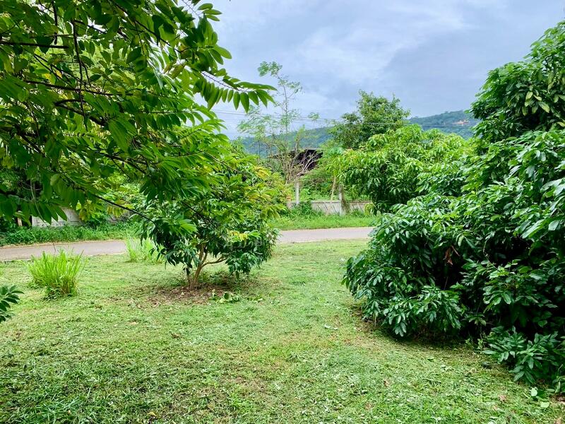 For Sale - ขายที่ดินพร้อมสิ่งปลูกสร้าง จ.มุกดาหารทิวเขา 360 องศา ล้อมรอบไปด้วยอากาศบริสุทธิ์ และใกล้แหล่งชุมชน, Mukdahan