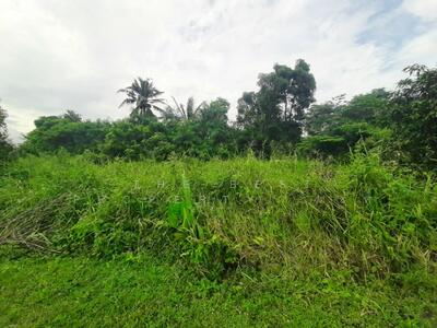 ขาย - ที่ดินหนองจอก กรุงเทพมหานคร, กรุงเทพ