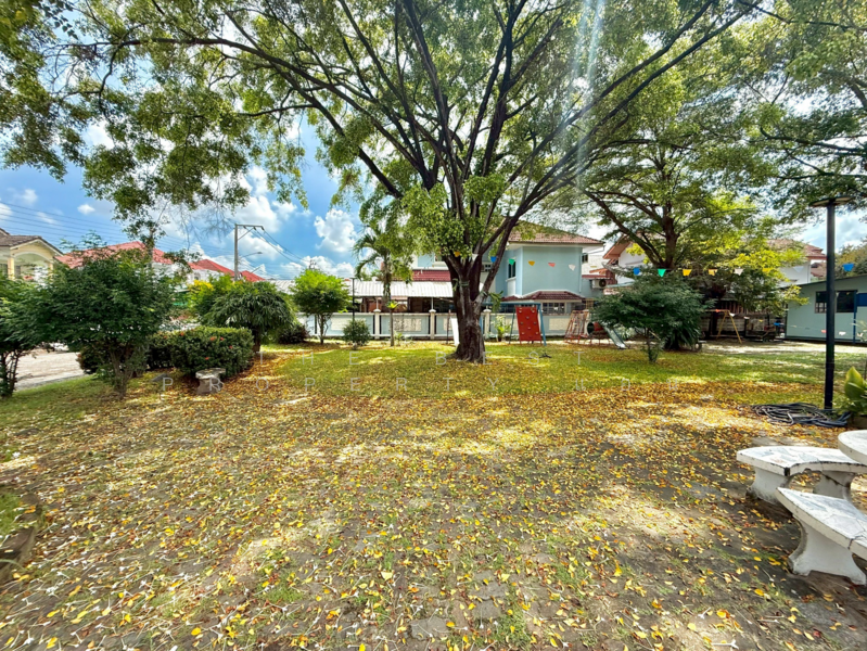 ขาย - Chonchob Thantawat : ชนชอบธันธวัช, กรุงเทพ