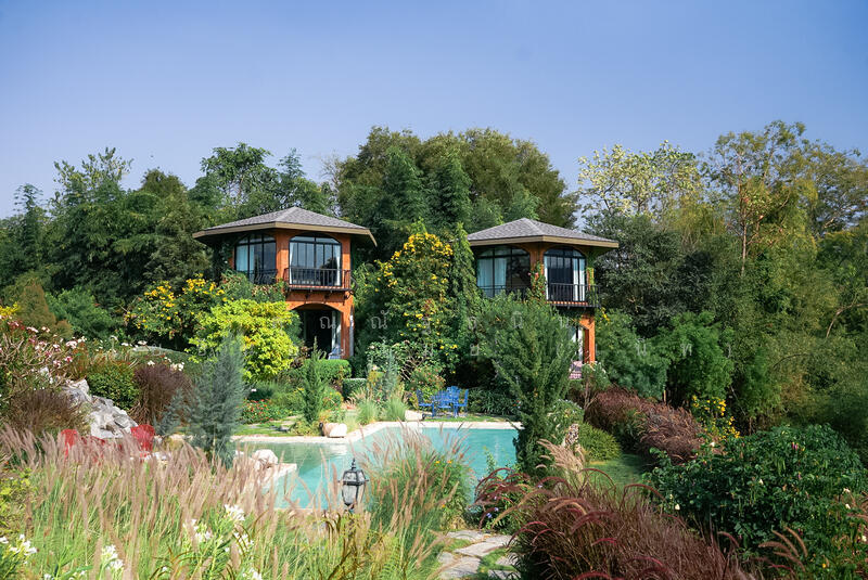 ขาย - The Elephant Tree House ต.วังด้ง อ.เมืองกาญจนบุรี จ.กาญจนบุรี 71190, กาญจนบุรี