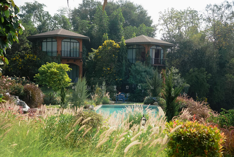 ขาย - The Elephant Tree House ต.วังด้ง อ.เมืองกาญจนบุรี จ.กาญจนบุรี 71190, กาญจนบุรี