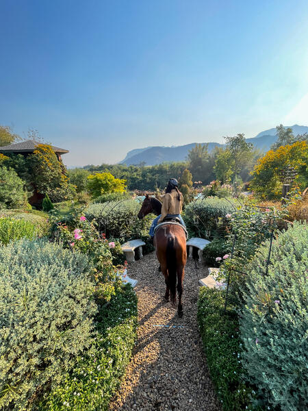 ขาย - The Elephant Tree House ต.วังด้ง อ.เมืองกาญจนบุรี จ.กาญจนบุรี 71190, กาญจนบุรี