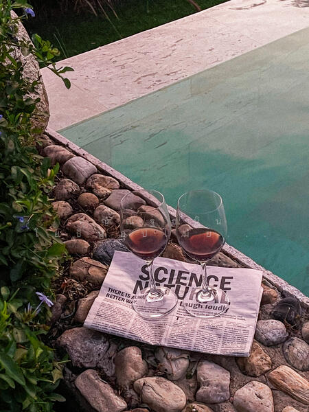 ขาย - The Elephant Tree House ต.วังด้ง อ.เมืองกาญจนบุรี จ.กาญจนบุรี 71190, กาญจนบุรี