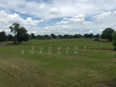 ขาย - ขายที่ดินเกษตร 240 ไร่ ตำบลท่าหลวง จ.ลพบุรี, ลพบุรี