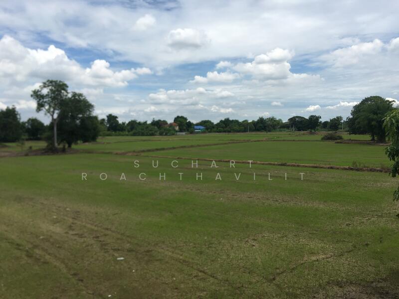 ขาย - ขายที่ดินเกษตร 240 ไร่ ตำบลท่าหลวง จ.ลพบุรี, ลพบุรี
