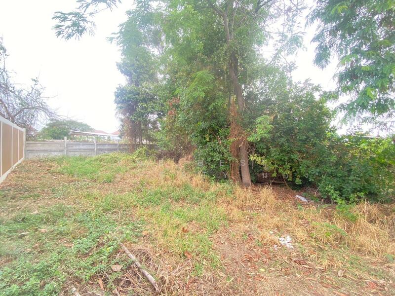 ขาย - ที่ดินเหนือเมือง ร้อยเอ็ด, ร้อยเอ็ด