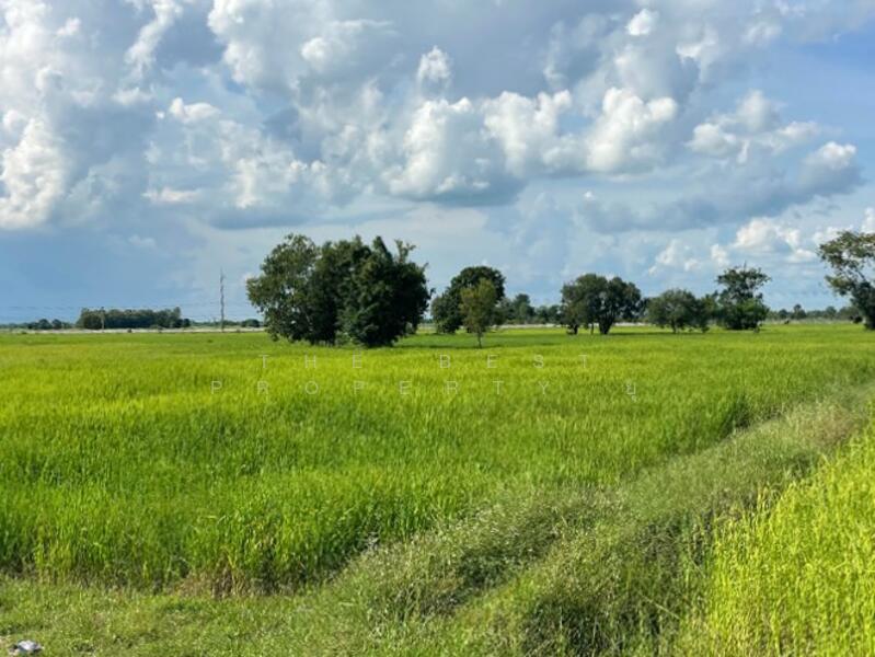 ขาย - ที่ดินสำโรงทาบ สุรินทร์, สุรินทร์
