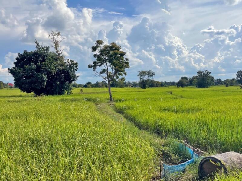 ขาย - ที่ดินสำโรงทาบ สุรินทร์, สุรินทร์