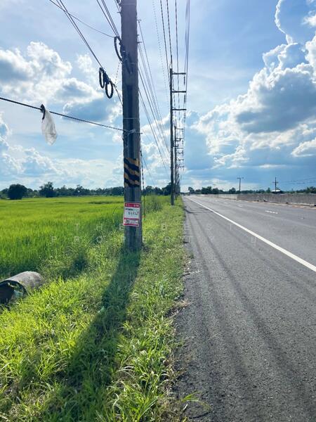 ขาย - ที่ดินสำโรงทาบ สุรินทร์, สุรินทร์