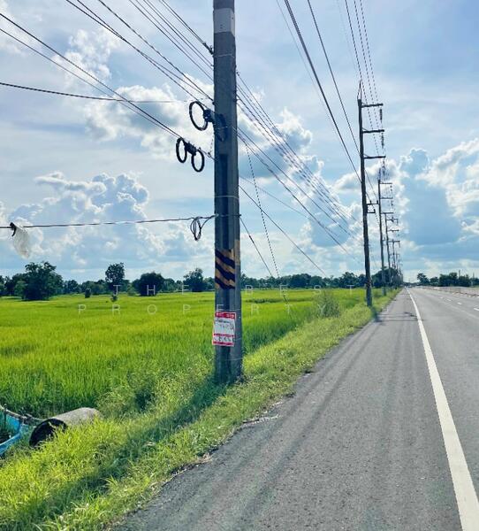 ขาย - ที่ดินสำโรงทาบ สุรินทร์, สุรินทร์