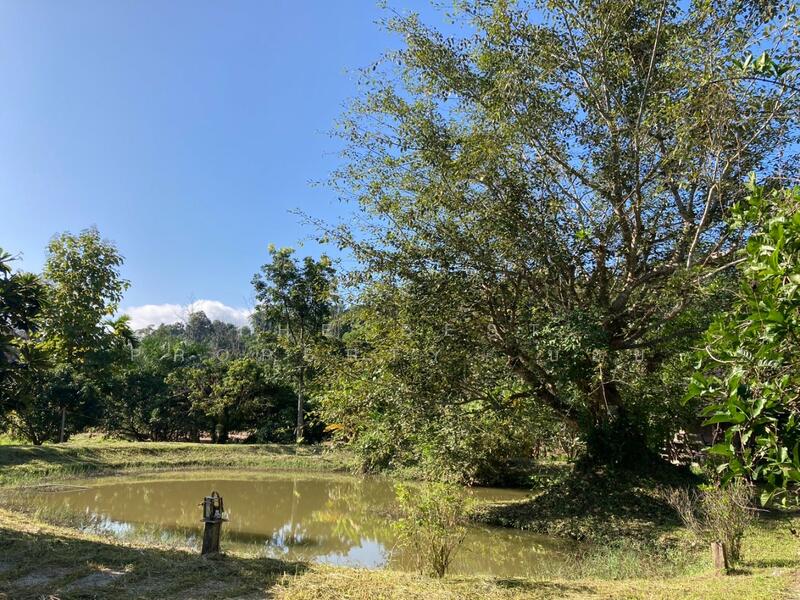 ขาย - บ้านเดี่ยวพร้อมที่ดินแม่แตง เชียงใหม่, เชียงใหม่