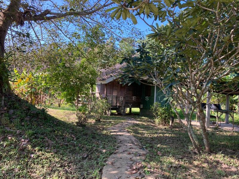 ขาย - บ้านเดี่ยวพร้อมที่ดินแม่แตง เชียงใหม่, เชียงใหม่
