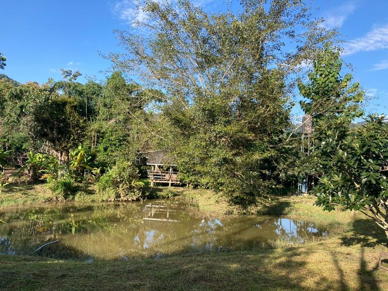 ขาย - บ้านเดี่ยวพร้อมที่ดินแม่แตง เชียงใหม่, เชียงใหม่