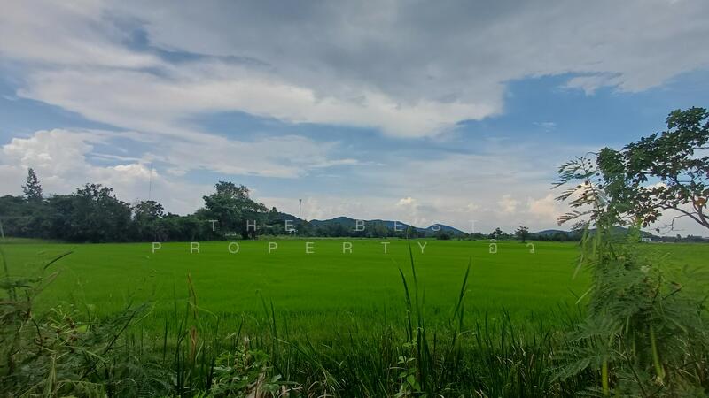 ขาย - ที่ดินโพธาราม ราชบุรี, ราชบุรี