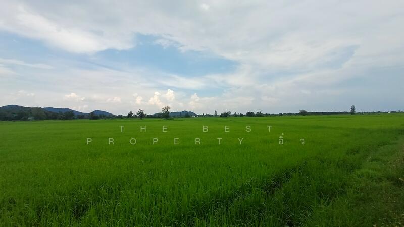 ขาย - ที่ดินโพธาราม ราชบุรี, ราชบุรี