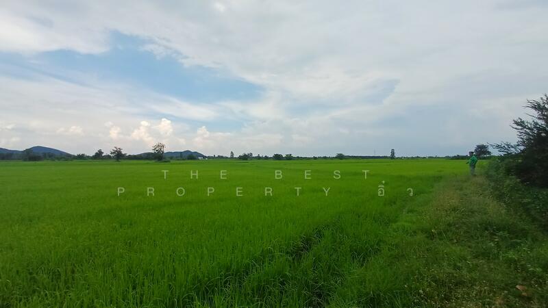 ขาย - ที่ดินโพธาราม ราชบุรี, ราชบุรี