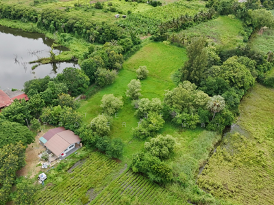 ขาย - ที่ดินบ้านยาง นครปฐม, นครปฐม