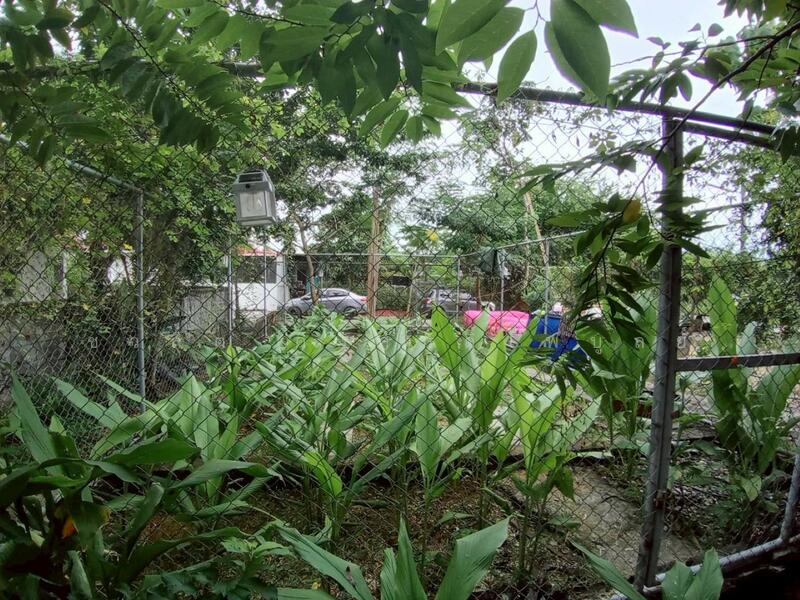 Land and custom-built house for sale, 103 sq wah, Phanasonthi Garden, Bangkok, ไมตรีจิต, Sam Wa Tawan Ok, Khlong Sam Wa, Bangkok, 3 Bedrooms, 120 sqm, Single Detached House For Sale, by CHAWALIT KONGSAKPAIBUL, 60214716 - DDproperty.com