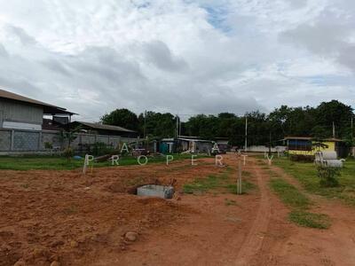 ขาย - ที่ดินเปล่า นาพร้าว ศรีราชา, ชลบุรี