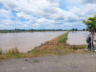 ขาย - ที่ดินบางขวัญ ฉะเชิงเทรา, ฉะเชิงเทรา