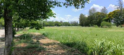 ขาย - ขาย ที่ดิน 2 ไร่ ในสนามกอฟล์วินเซอร์ ทำเล เขต หนองจอก, กรุงเทพ