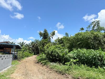 ขาย - ที่ดินท่าแซะ ชุมพร, ชุมพร