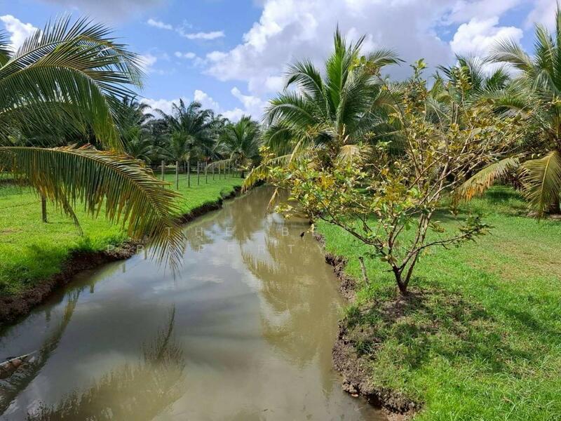 ขาย - ที่ดินพร้อมสิ่งปลูกสร้างบางจาก นครศรีธรรมราช, นครศรีธรรมราช