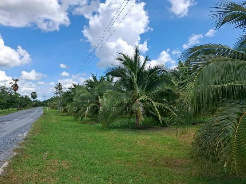 ขาย - ที่ดินพร้อมสิ่งปลูกสร้างบางจาก นครศรีธรรมราช, นครศรีธรรมราช