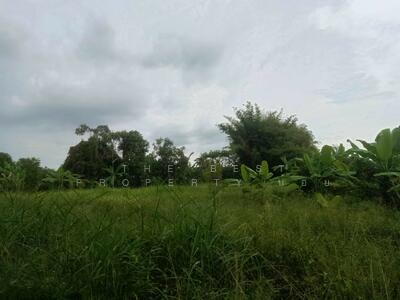 ขาย - ที่ดินบ้านใหญ่ นครนายก, นครนายก