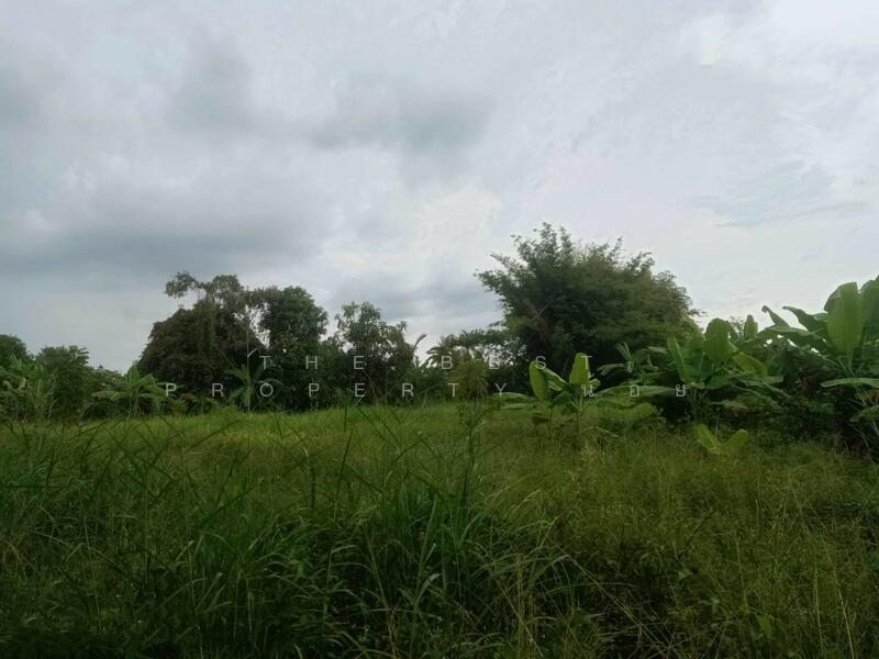 ขาย - ที่ดินบ้านใหญ่ นครนายก, นครนายก