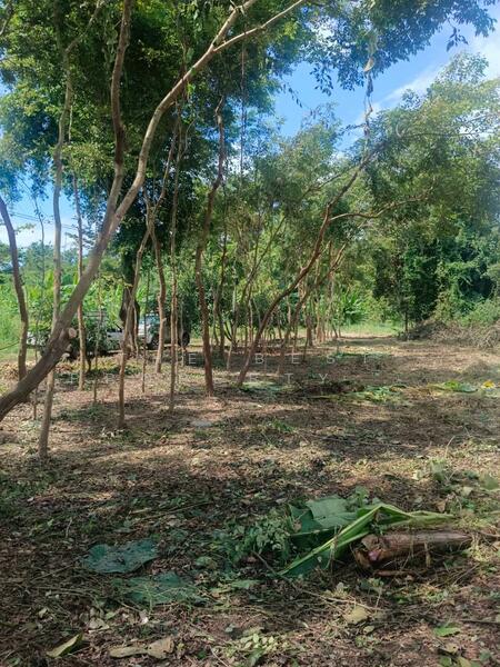 For Sale - ที่ดินบ้านใหญ่ นครนายก, Nakhon Nayok