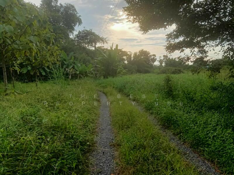 For Sale - ที่ดินบ้านใหญ่ นครนายก, Nakhon Nayok