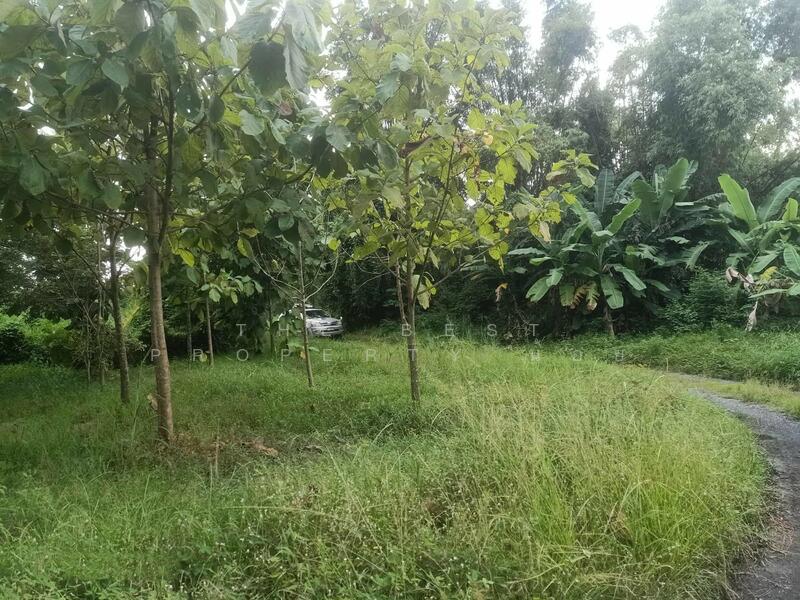 For Sale - ที่ดินบ้านใหญ่ นครนายก, Nakhon Nayok