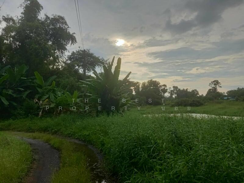 ขาย - ที่ดินบ้านใหญ่ นครนายก, นครนายก