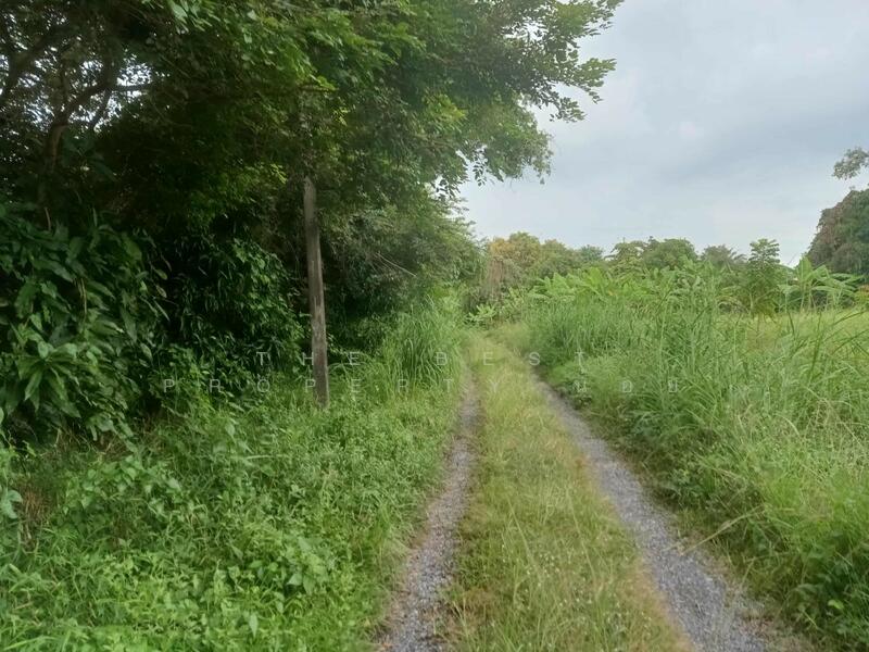 ขาย - ที่ดินบ้านใหญ่ นครนายก, นครนายก