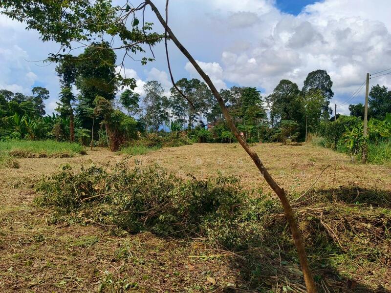 For Sale - ที่ดินบ้านใหญ่ นครนายก, Nakhon Nayok